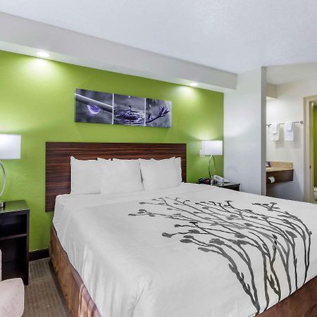Temple Terrace Sleep Inn Near Busch Gardens - Usf מראה חיצוני תמונה