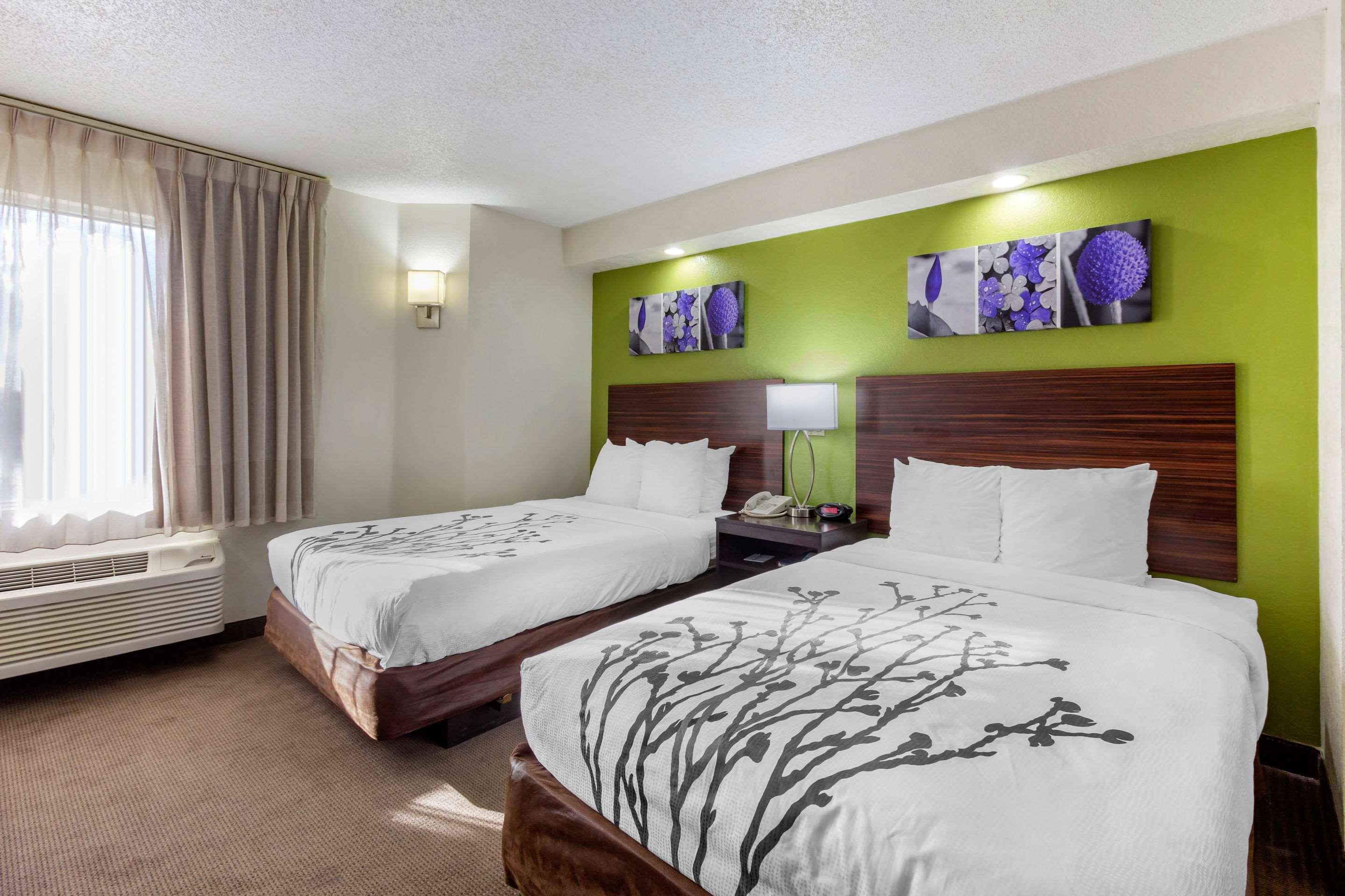 Temple Terrace Sleep Inn Near Busch Gardens - Usf מראה חיצוני תמונה
