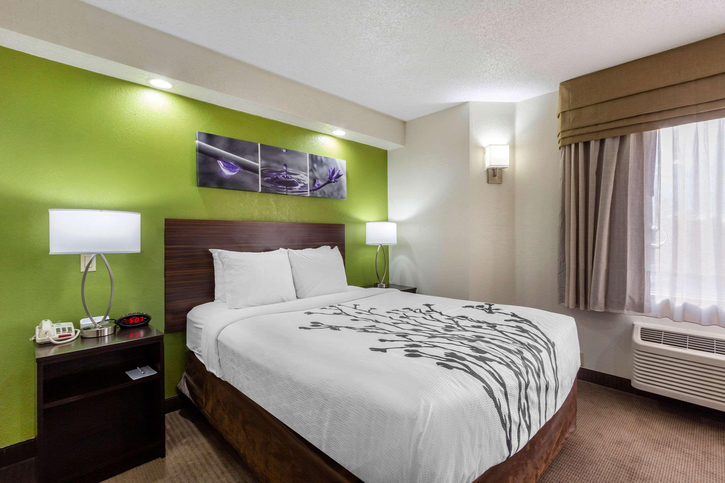 Temple Terrace Sleep Inn Near Busch Gardens - Usf מראה חיצוני תמונה