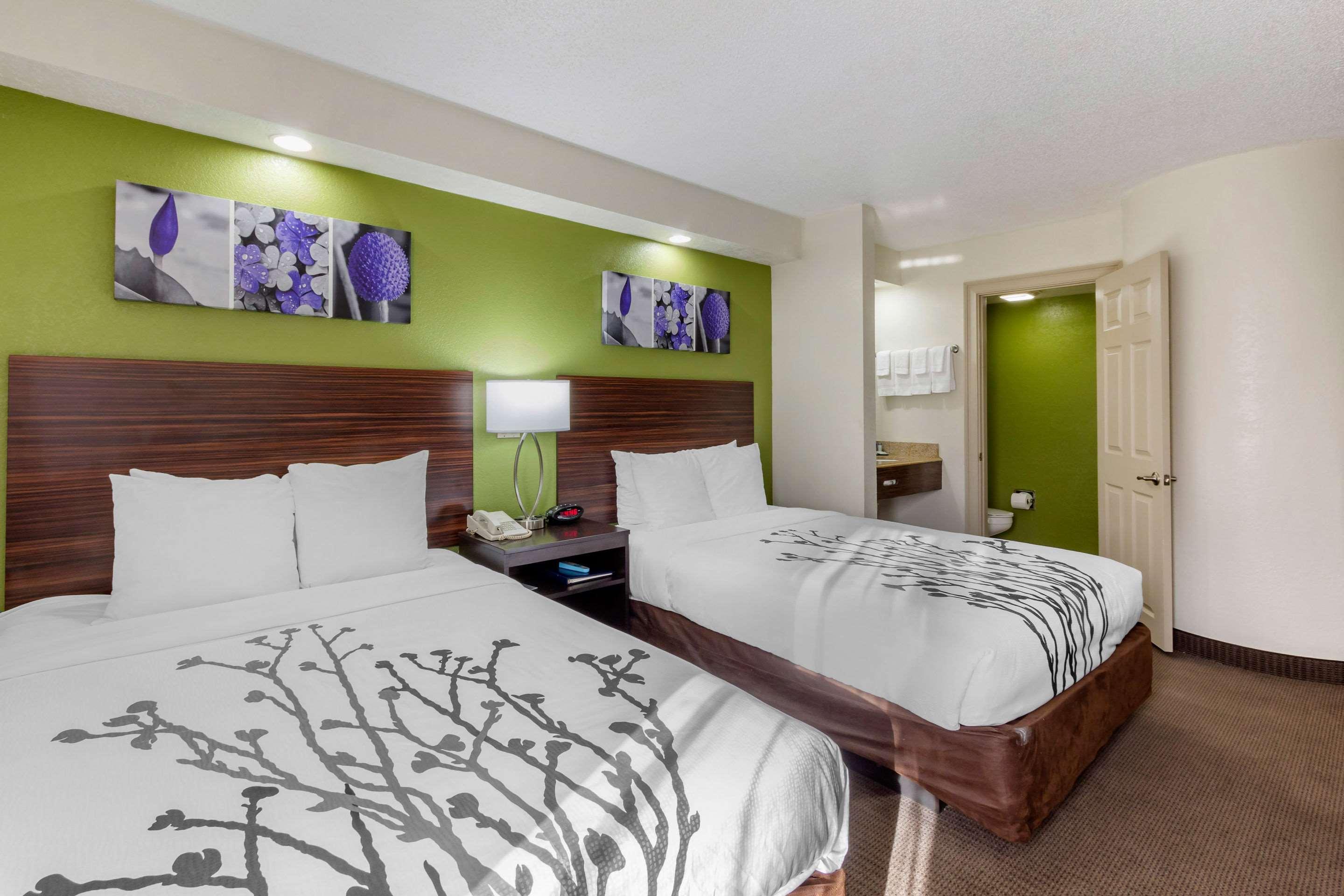 Temple Terrace Sleep Inn Near Busch Gardens - Usf מראה חיצוני תמונה