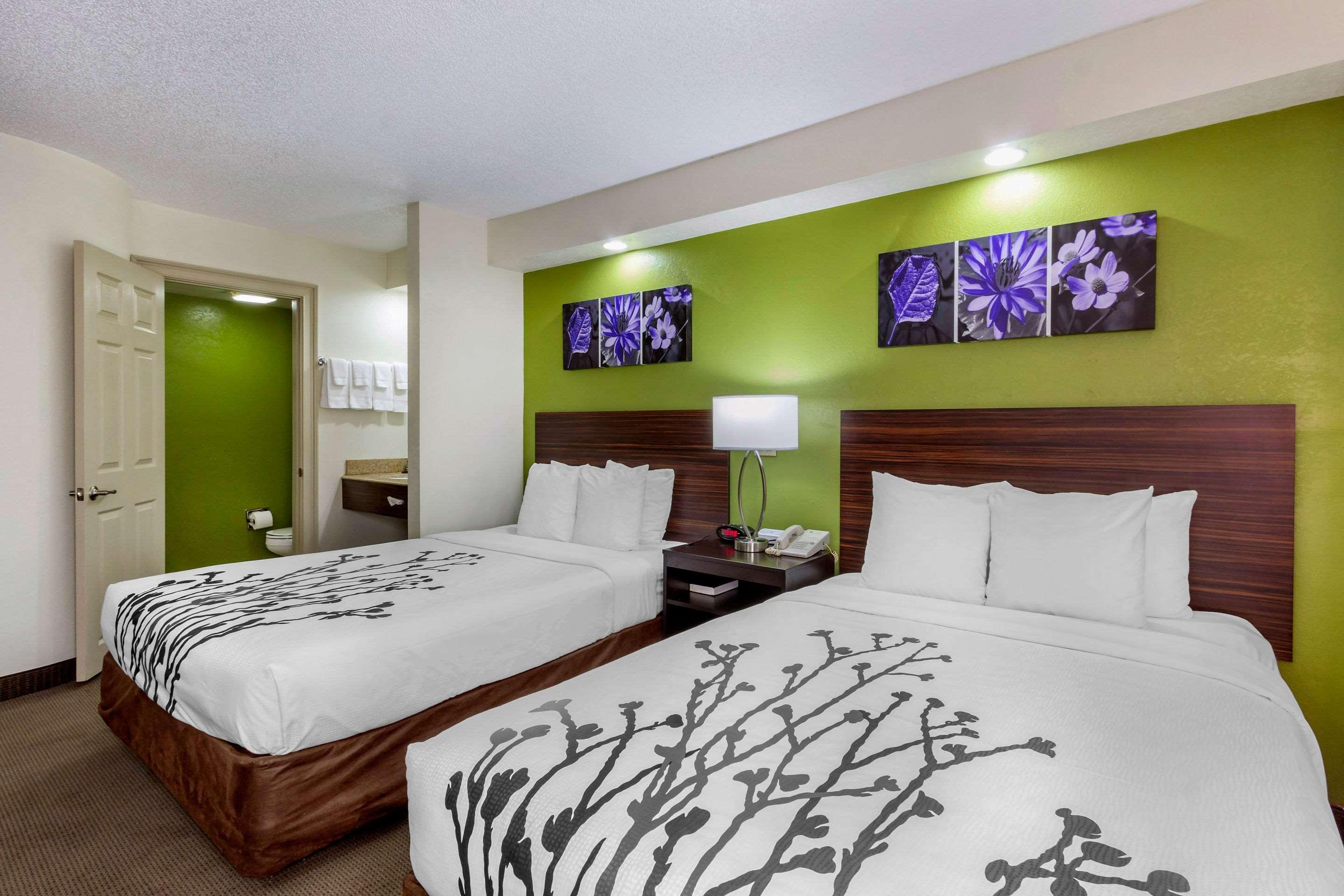 Temple Terrace Sleep Inn Near Busch Gardens - Usf מראה חיצוני תמונה