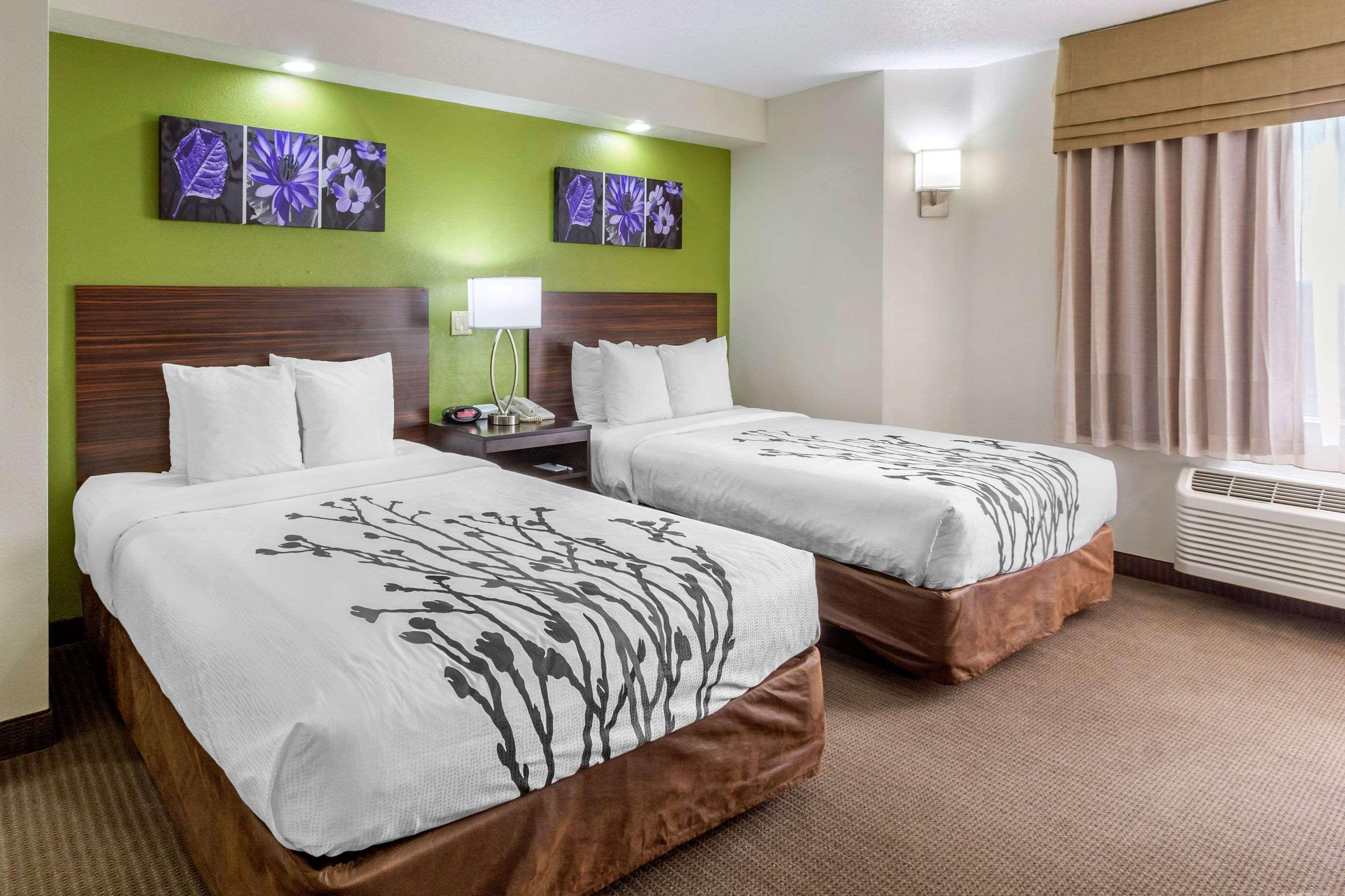 Temple Terrace Sleep Inn Near Busch Gardens - Usf מראה חיצוני תמונה