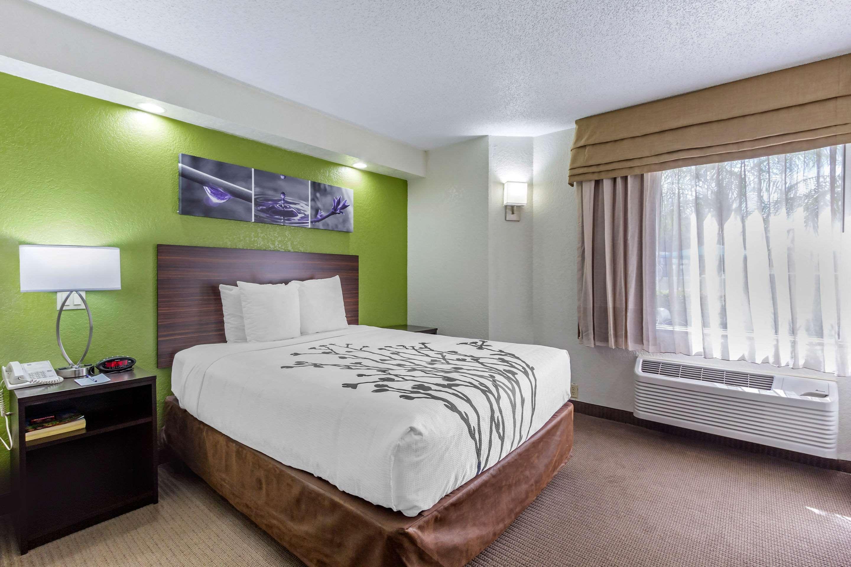 Temple Terrace Sleep Inn Near Busch Gardens - Usf מראה חיצוני תמונה