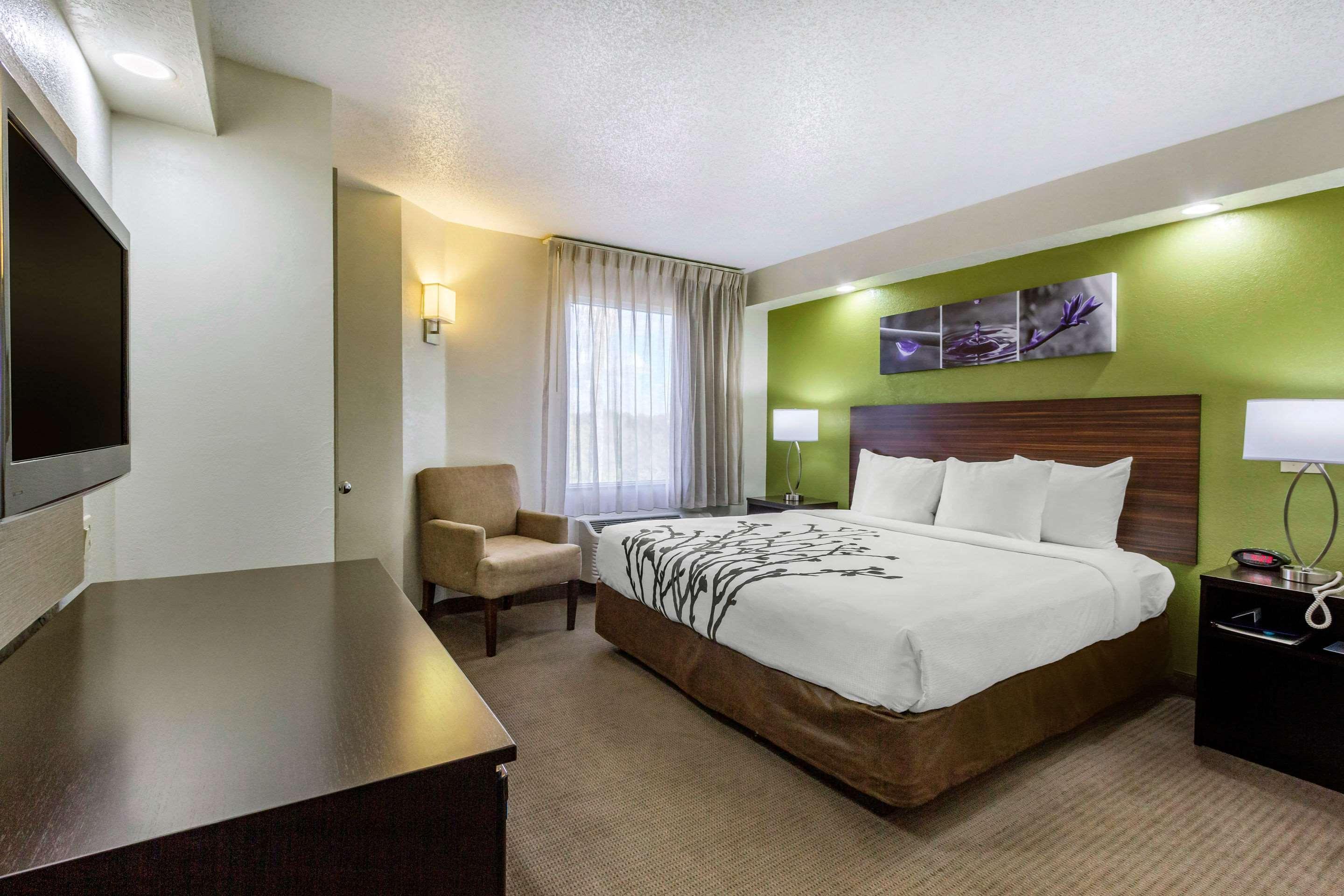 Temple Terrace Sleep Inn Near Busch Gardens - Usf מראה חיצוני תמונה